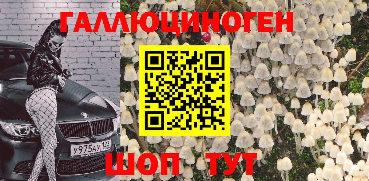 Семилуки  продажа наркотиков  Псилоцибиновые грибы GOLDEN TEACHER  Вход с VPN  Псилоцибиновые грибы Psilocybine cubensis 