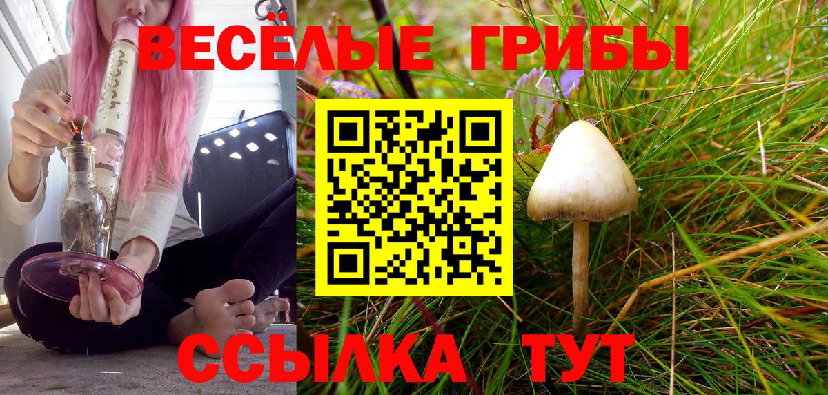 Галлюциногенные грибы Psilocybe Семилуки